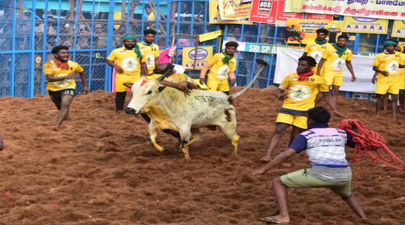 तमिलनाडु में जल्लीकट्टू: पलामेडु में 10 घायल, 4,514 से अधिक तमाशों ने प्रतिस्पर्धा की - शीर्ष बिंदु