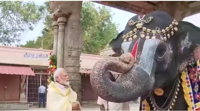 देखें: त्रिची में श्री रंगनाथस्वामी मंदिर के हाथी ने पीएम मोदी के लिए माउथ ऑर्गन बजाया